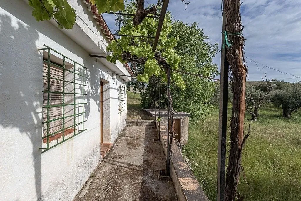 Exterior - Rustic Farmhouse with Olive Grove in Monachil