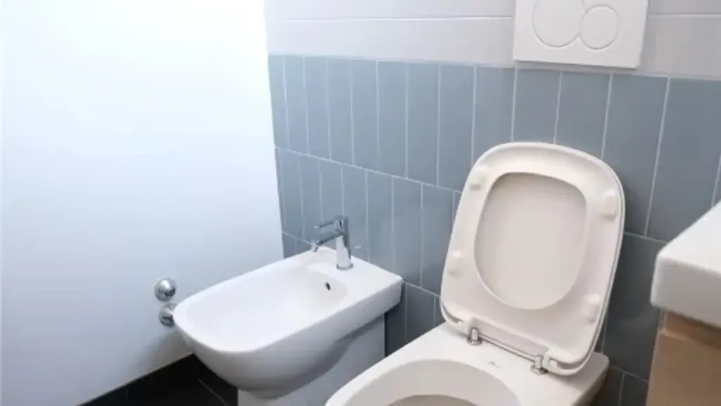 Salles de bain - Rented 2.5-Bedroom Apartment in Florence