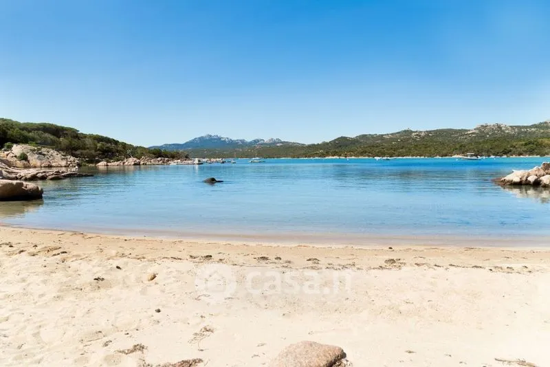 Villa with Private Beach in Arzachena