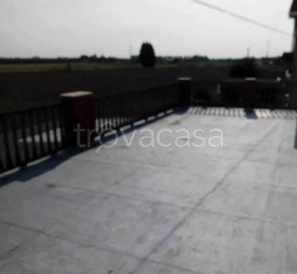 terrace_patio