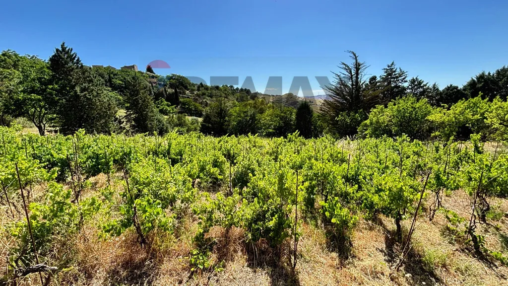 Aed - Villa with Olive Grove in Alimena