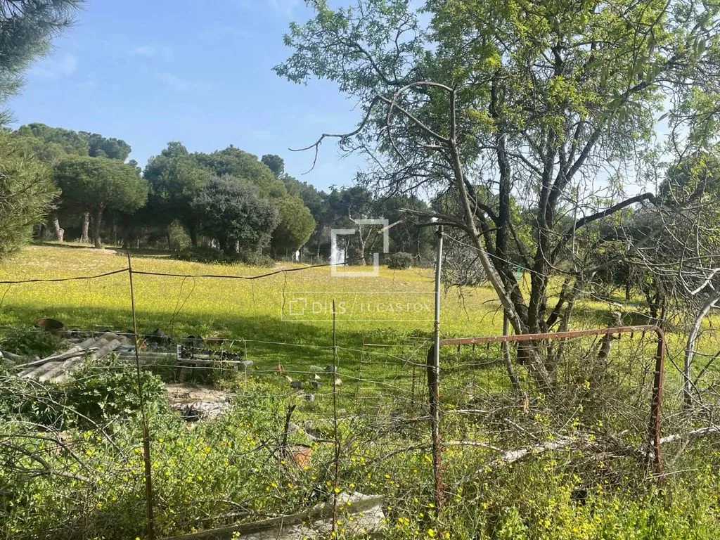Jardin - Plot with Garden in Majadahonda