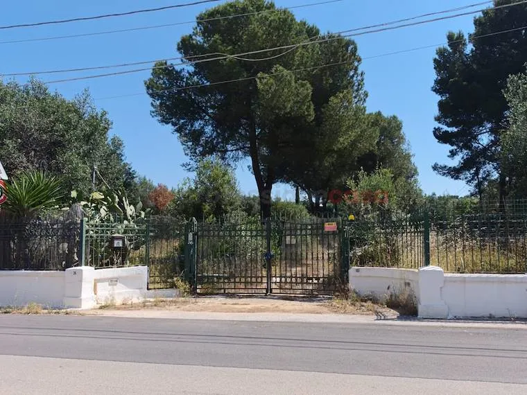 Extérieur - Villa with Olive Grove in Grottaglie