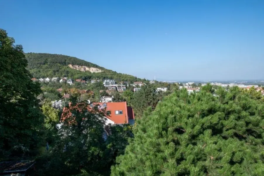 Luxury Villa with Panoramic Views in Budapest II. District