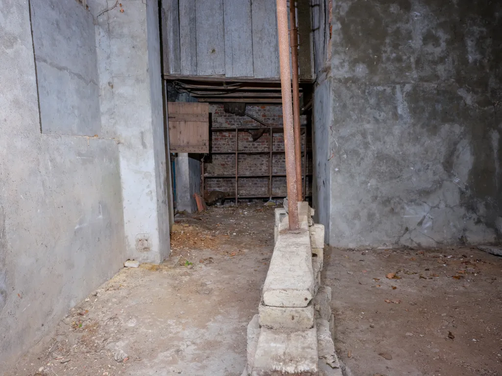 cellar