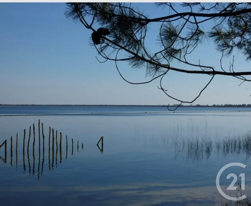 Appartement 2 Pièces avec Terrasse à Carcans