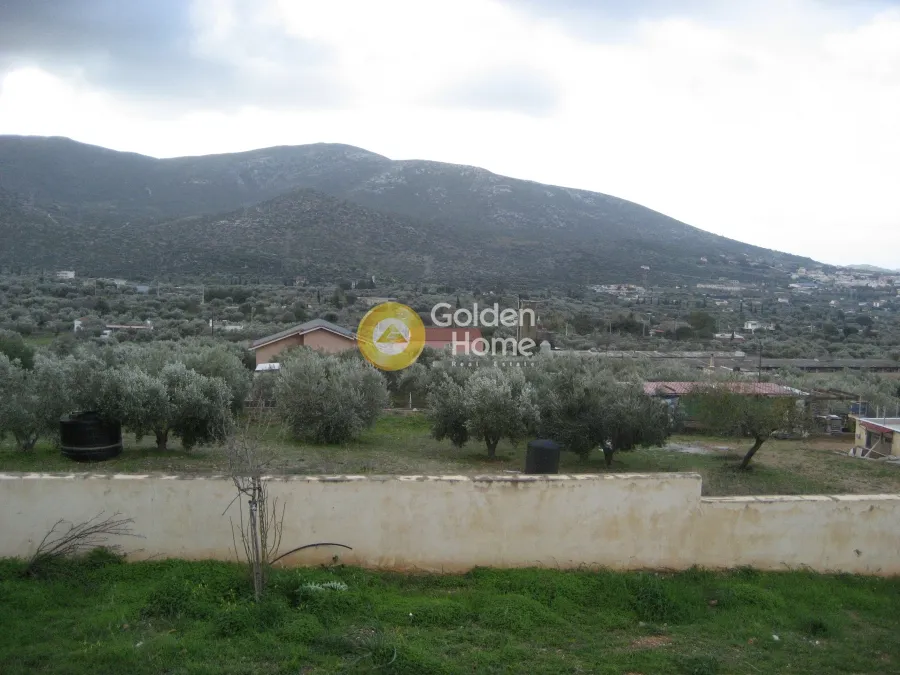 Aed - House with Panoramic View in Centre