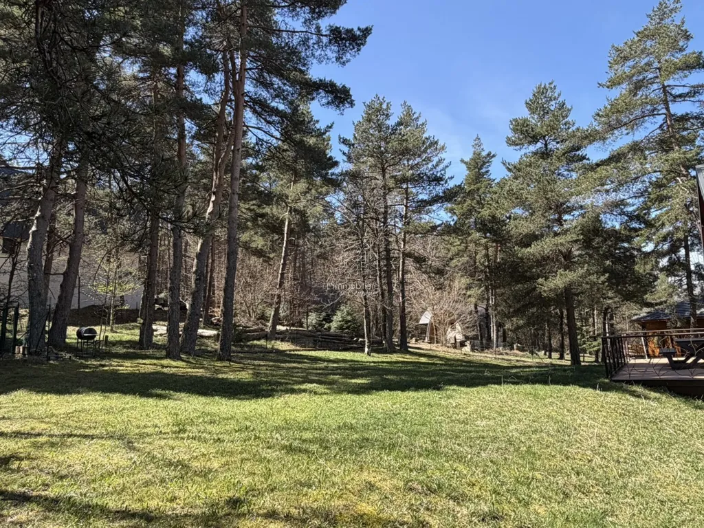 Garden - Chalet with Forest View in Saint-Sauveur-Camprieu