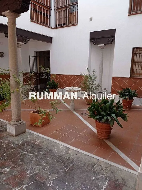 Jardin - Studio Flat with Balcony in Granada Centre