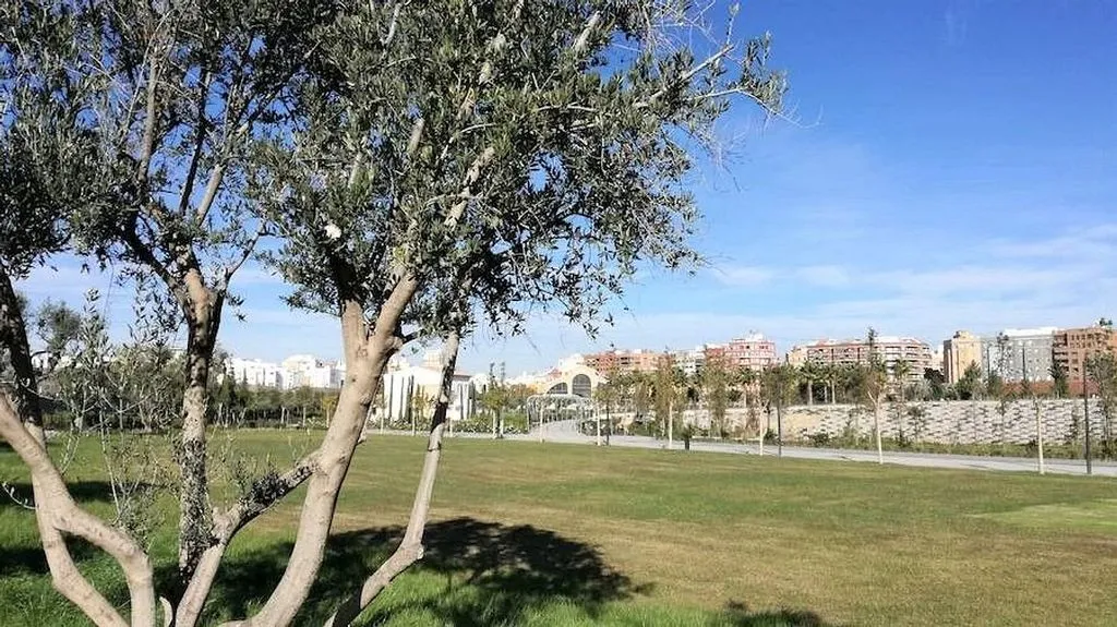 Spacious Flat with Terrace in Plaza Holanda