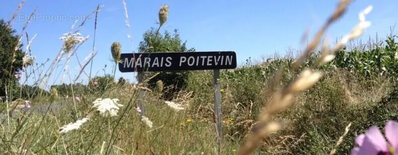 Terrain à Courcon