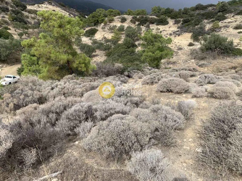 Aed - Agricultural Plot with Sea View in Arvi