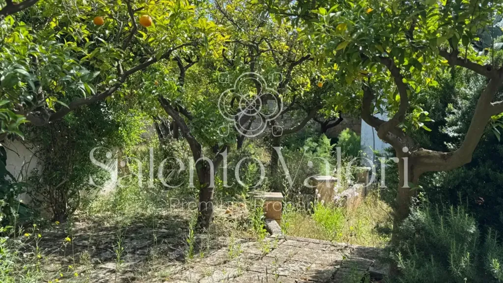 Jardin - Historic Villa with Garden in Taviano