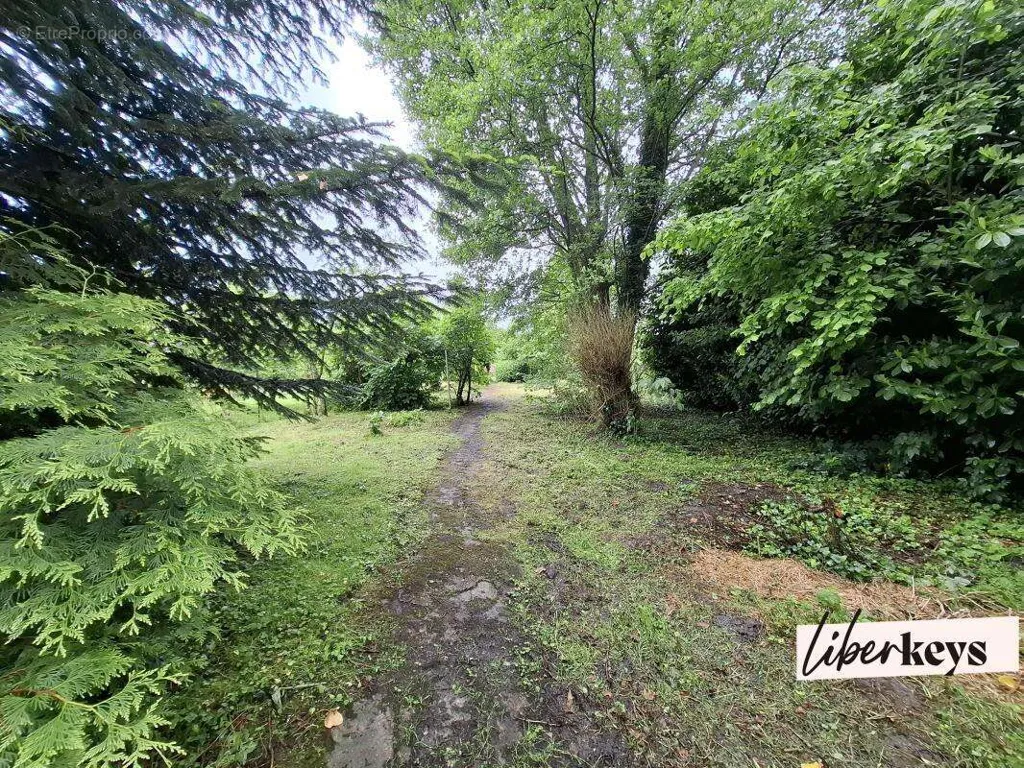 Jardin - Maison Lumineuse à Sainte-Mesme, Proche Dourdan