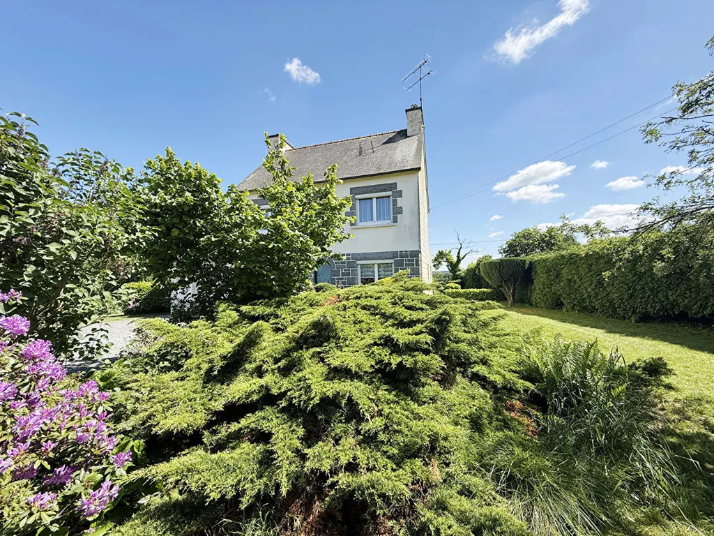 Aed - 1964 House with Garden in Plainet