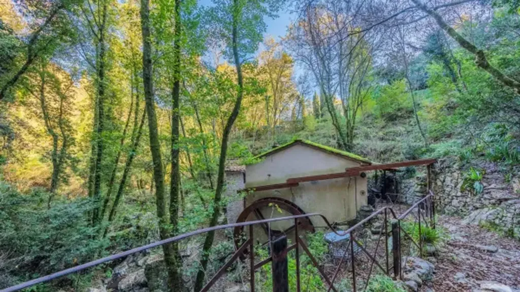 Aed - Restored Millhouse with River View in Camaiore