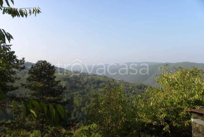 Aed - Traditional Langhe Rustico with Panoramic Terrace in Cortemilia