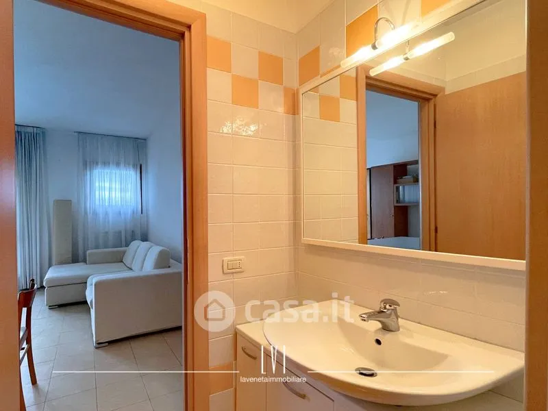Vannitoad - Apartment with Terraces in Ca' Savio Centre