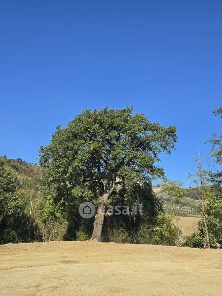 Jardin - Newly Built Bifamiliar Villa in Pianoro