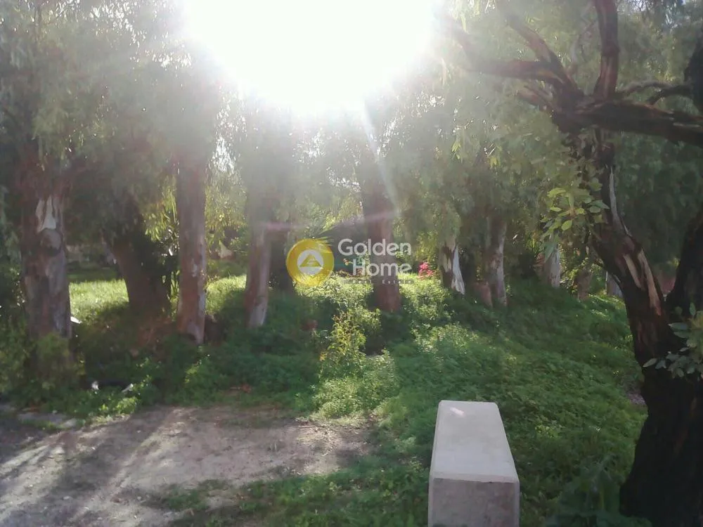 Jardin - Seaside Plot with Sea View in Patras Suburb