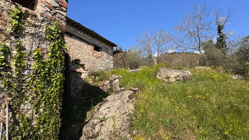 Extérieur - Rustic Property with Olive Grove in Lucca