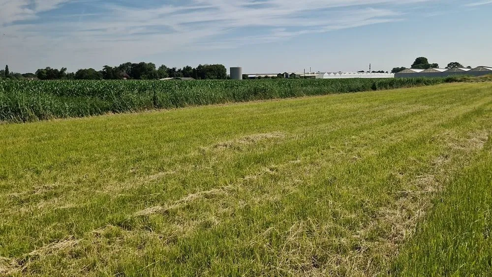 Giardino - Landscaped Building Plot with Privacy in Woubrugge