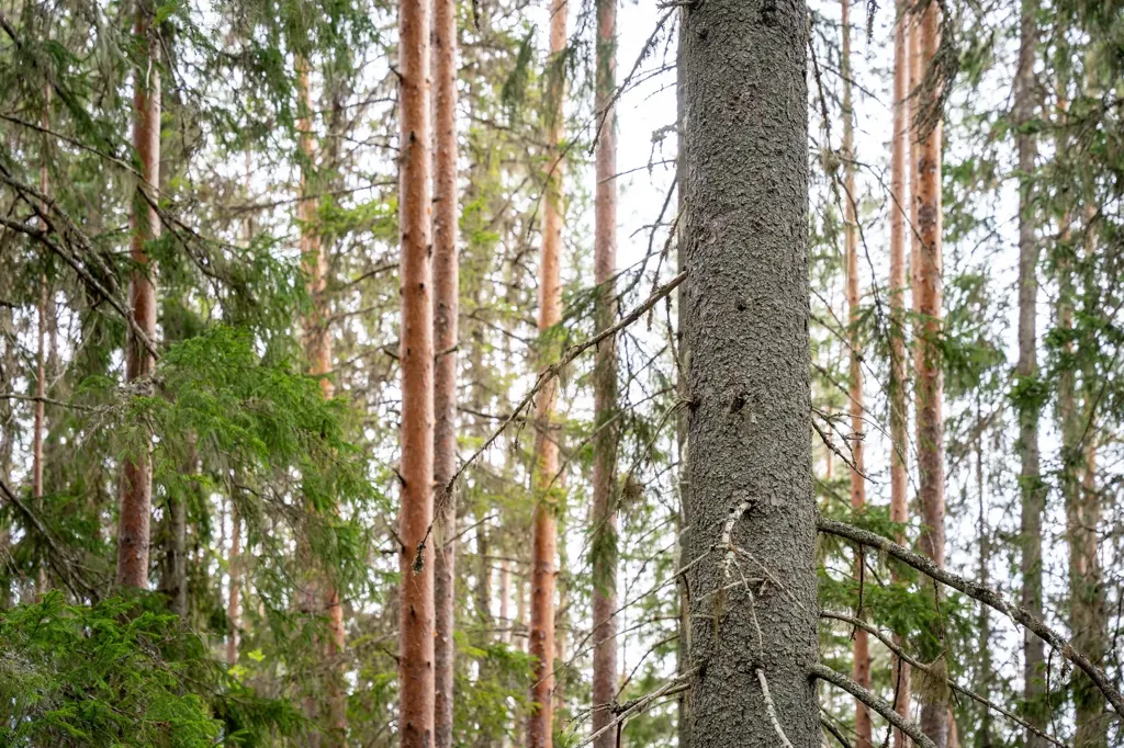 Forest Cottage with Eco Heating in Hälledal