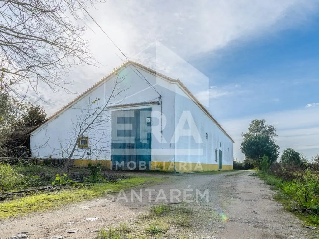 Extérieur - Luxury House with Agricultural Land in Benfica do Ribatejo