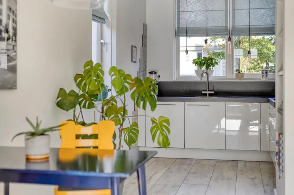 Kitchen - Modern Corner House with Garden in Strijp-R, Eindhoven