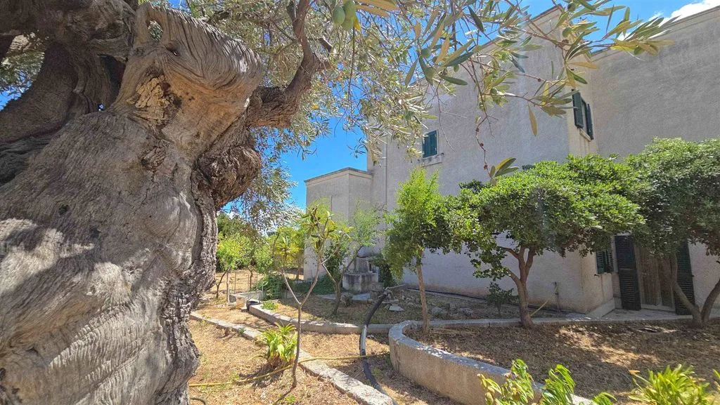 Aed - Apulian Masseria with Sea View in Monopoli