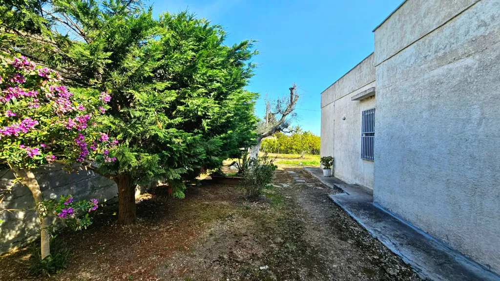 Jardin - Villa with Olive Grove near Carovigno