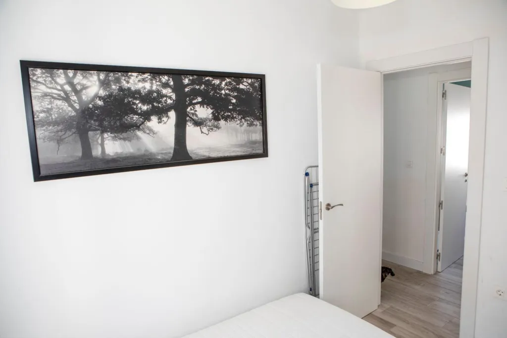Magamistoad - Bright Flat with Modern Design in Albacete