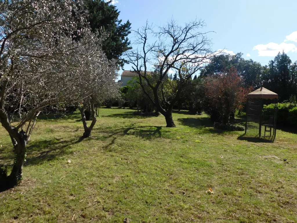 Jardin - Mas à Rénover avec Jardin dans les Alpilles