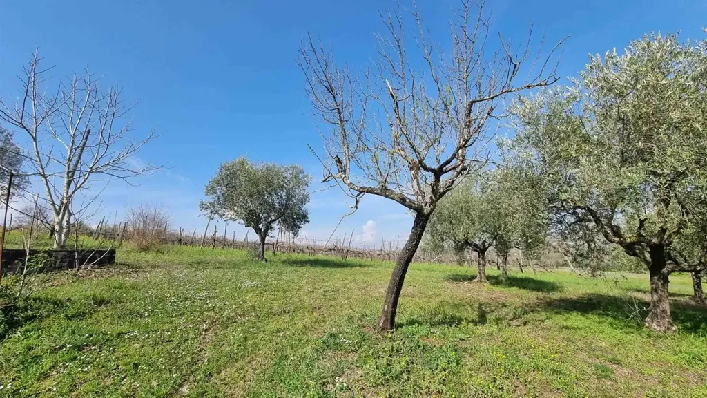 Aed - Independent House with Dual Access in Torre Le Nocelle