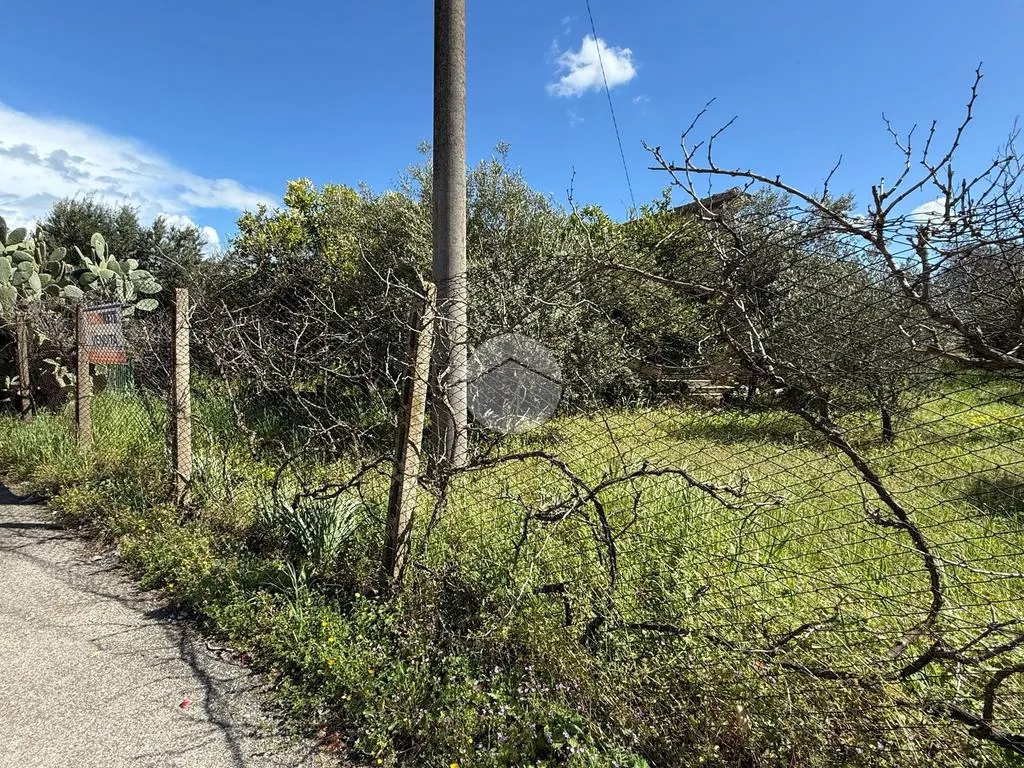 Jardin - Rustic House with Large Garden in Corigliano-Rossano