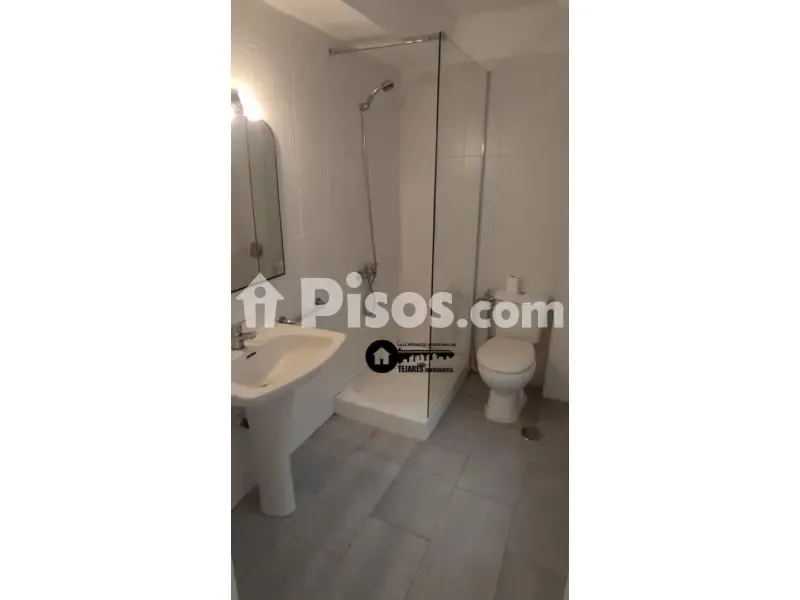 Salles de bain - Renovated Flat with Balcony on Avenida de España