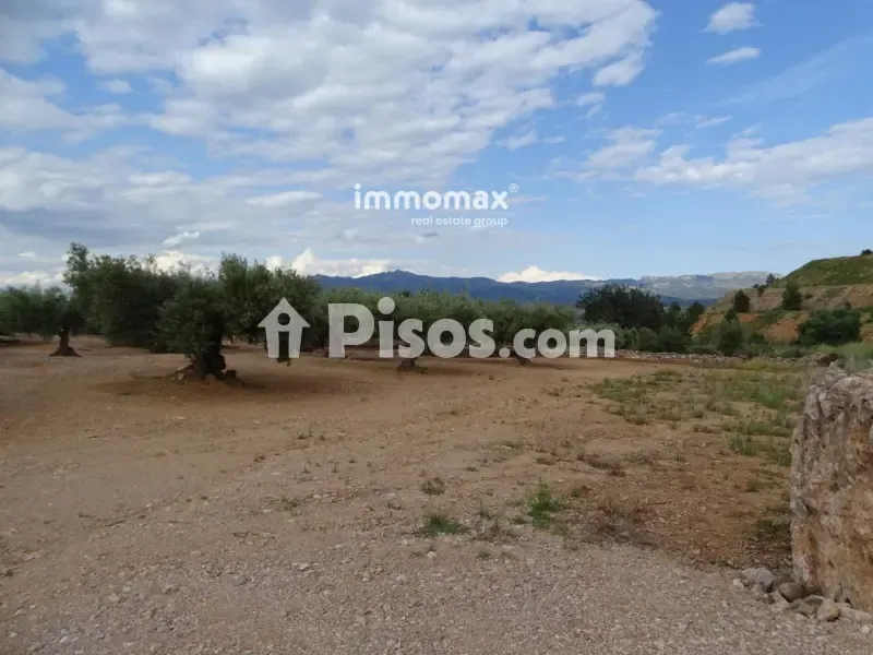Aed - Rustic Farm with Olive Grove in Xerta