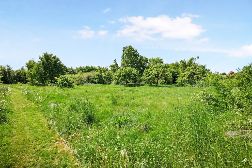 Jardin - Year-Round Plot with 5G Coverage in Hadsund