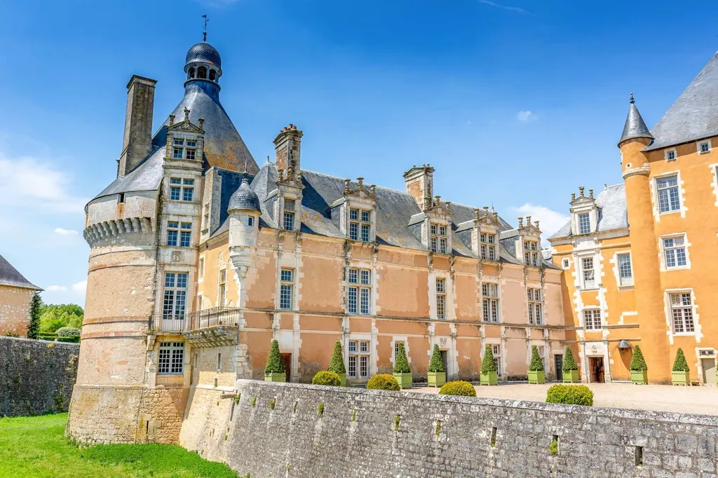 Välivaade - Medieval Château with River View near Poitiers