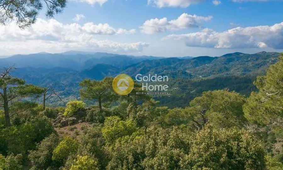 Extensive Land with Forest View in Lemessos