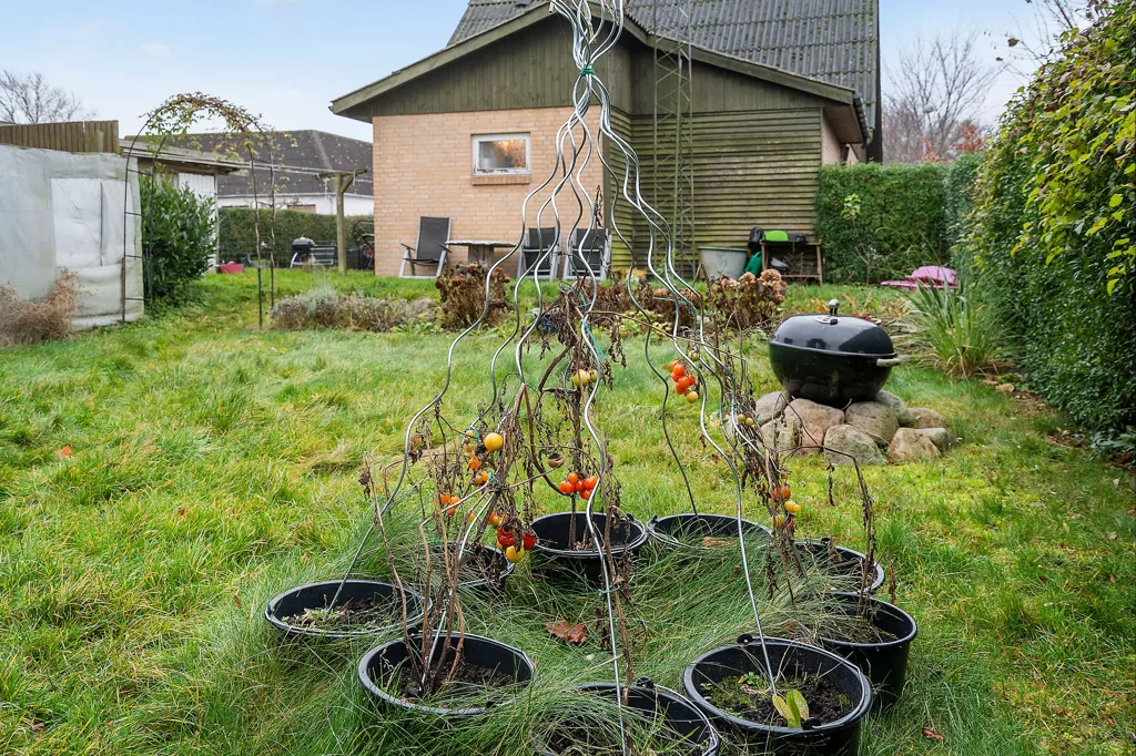 Jardin - Maison 5 pièces à Stege