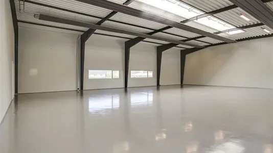 Toad - Commercial Space for Rent in Hobro