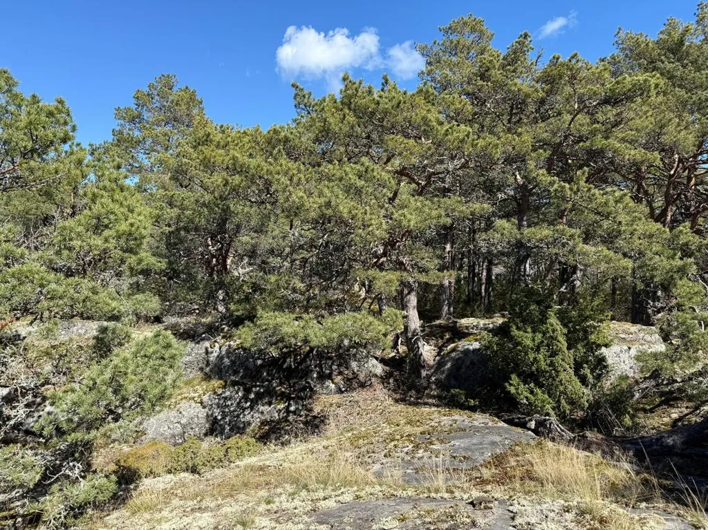 Bien 2 pièces à Kemiönsaari