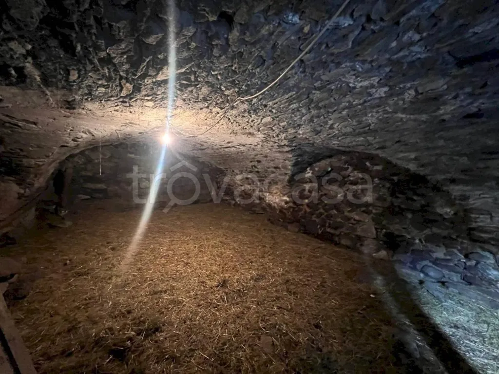 Toad - Rustic Stone Cottage in Casteldelfino