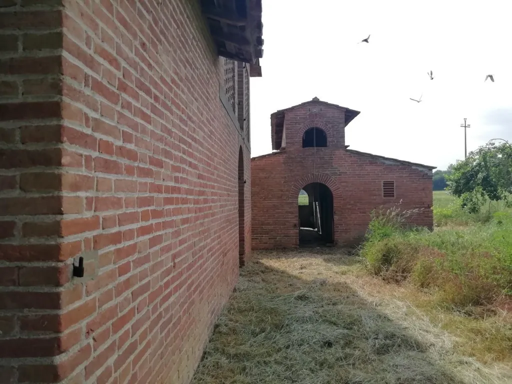 Jardin - Rustic Farmhouse with Loggia in Montaione
