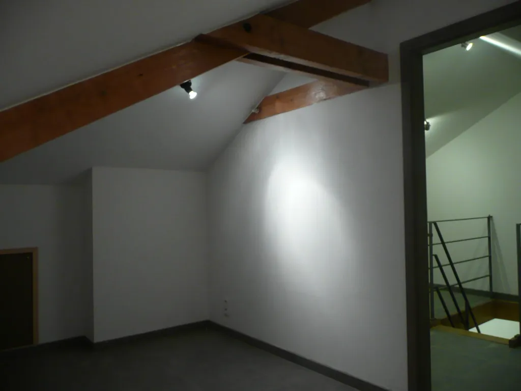 Toad - Duplex Apartment with Terrace in Arlon