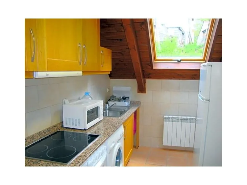 Cuisine - New Flat with Balcony in Bielsa