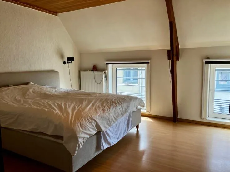 Magamistoad - 2-Bedroom Home with Attic in Hemiksem