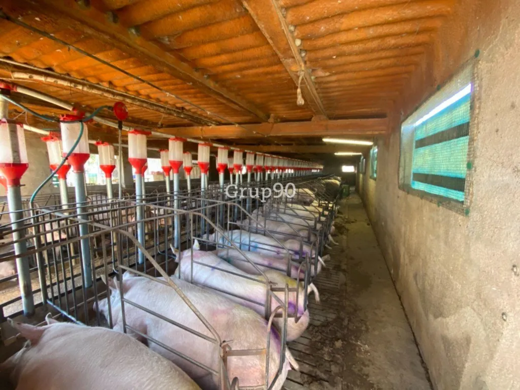 Pièces - Pig Farm with Cultivation in Cabanes