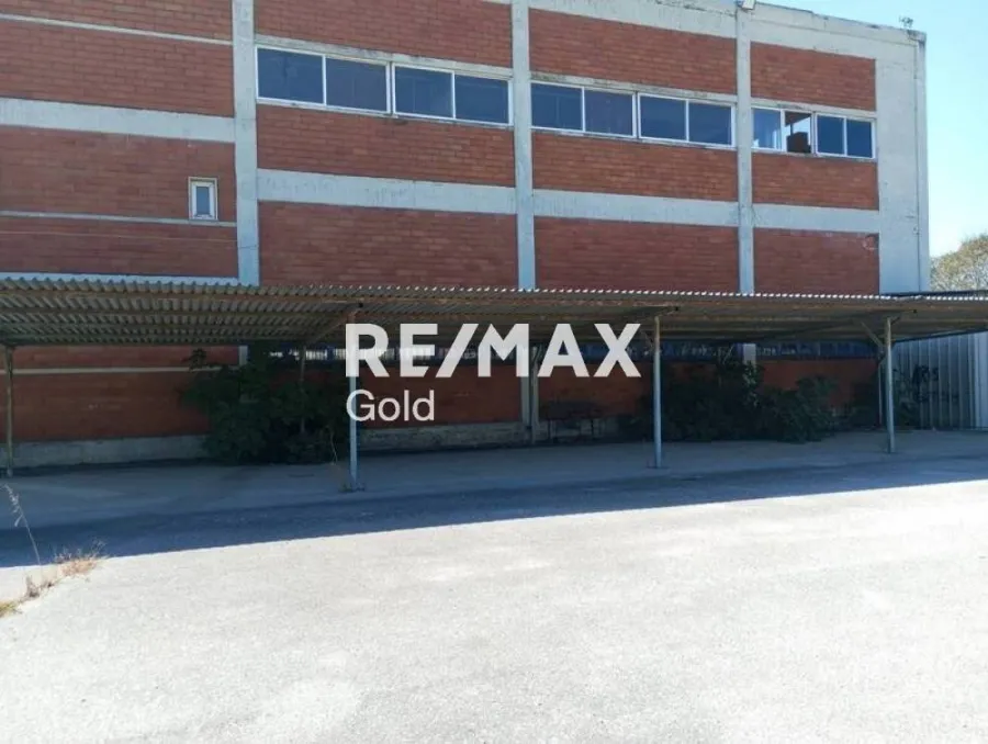 Garage - 3-Storey Office Building with Parking in Kalochori